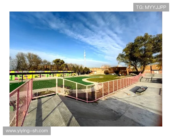 滑板战术解析：深入探讨北京滑板队的创新进攻体系与战术布局